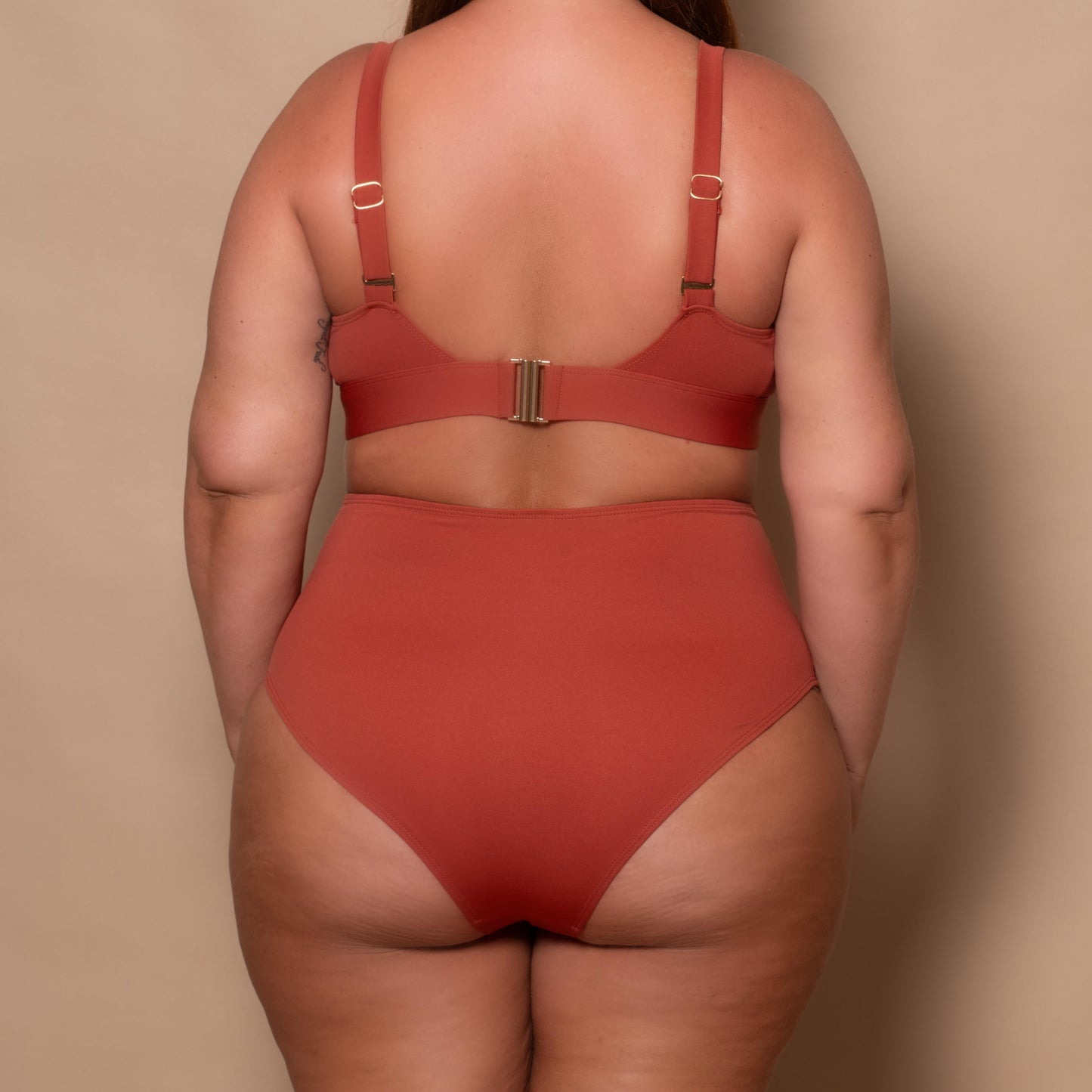Rust Red High Waist Bikini Briefs