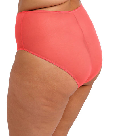 curvy woman wearing a high waist plussize brief with mesh in sunset color against a white background
